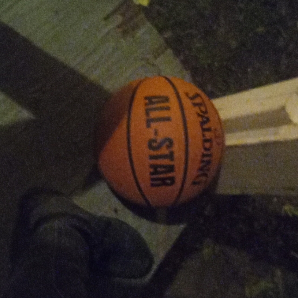 Spalding All-Star Basketball